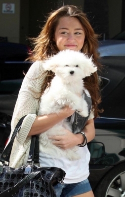 Miley (56)
