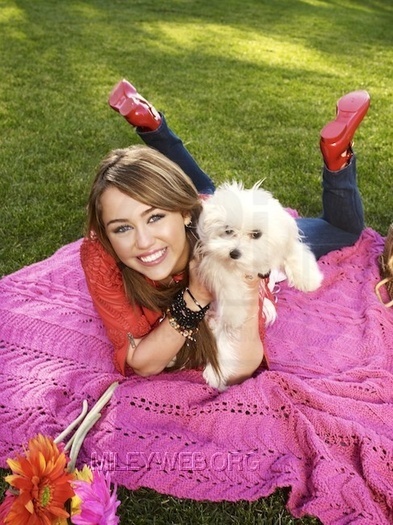 Miley (6)