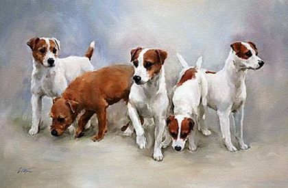 parson_russell_terriers[1]