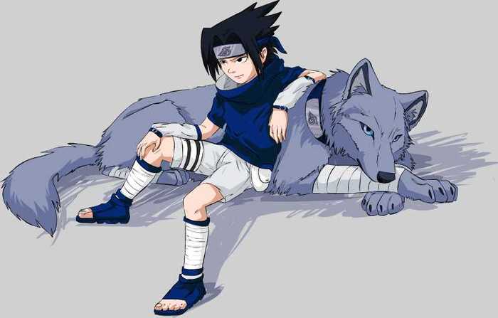 Sasuke_and_wolf_by_Orphen_Sirius