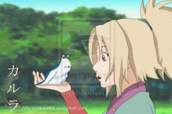 Tsunade_hime_by_Sakura984