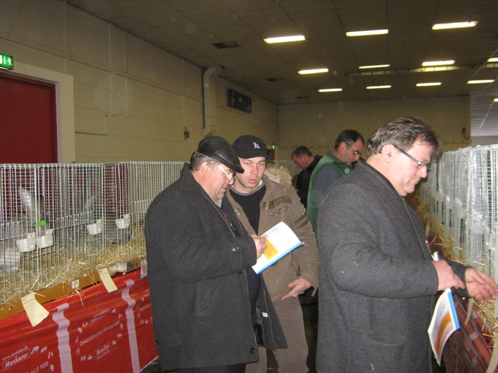 Wels-Vasile si Petre cu katalogul - 7-anunt important