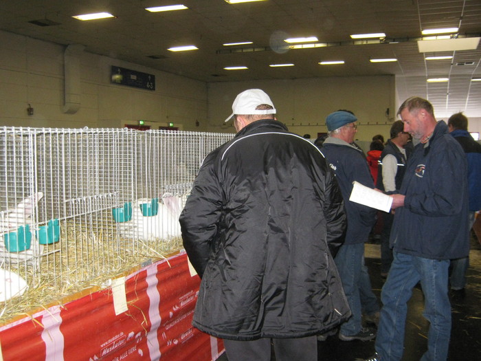 Campionul national -Mähringer - 7-anunt important