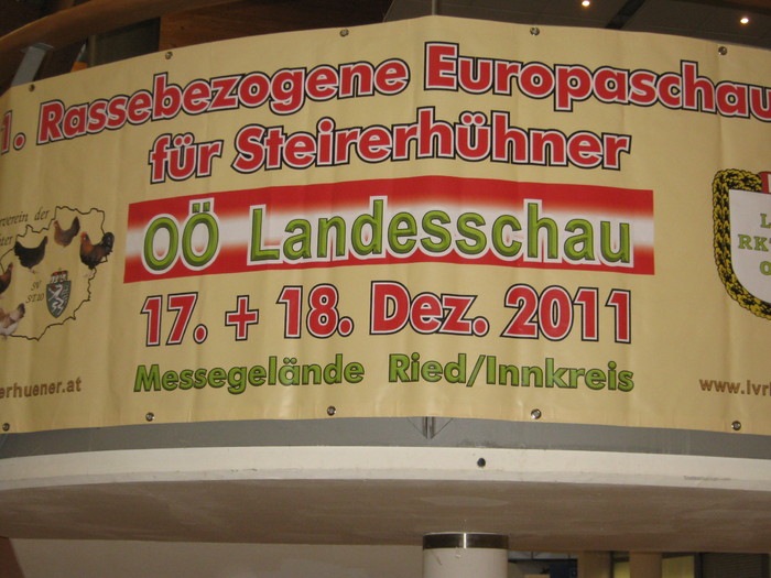 M-Wels-expozitia nationala - expo Wels-2010-Austria