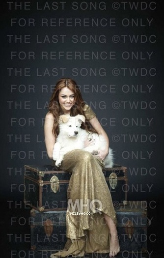 Miley (18)