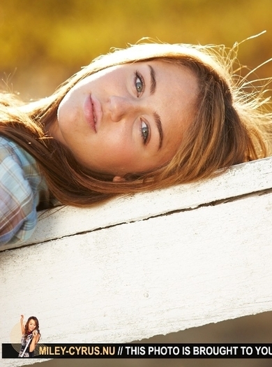 Miley (51)