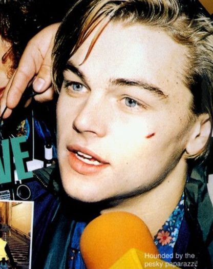 Leonardo DiCaprio (31)