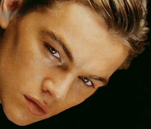 Leonardo DiCaprio (34)