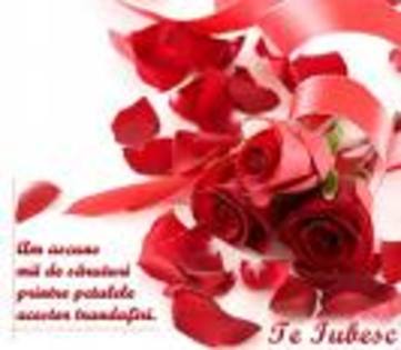 aaam - flori