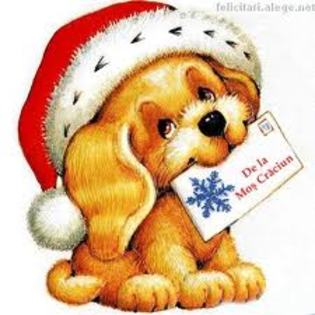 images (4)