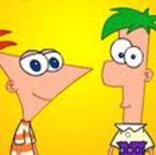 imagesCAL6E0QQ - phineas si farb