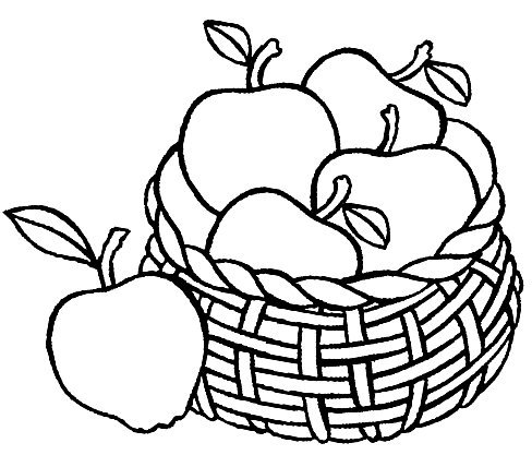 colapplebasket
