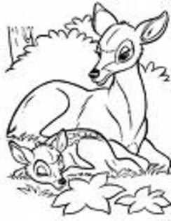 EWES