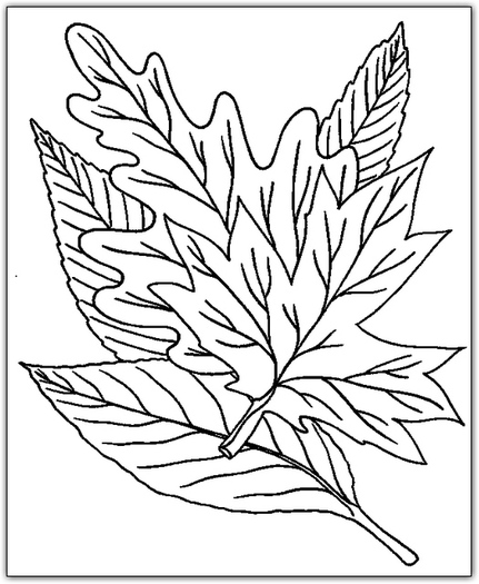 fallleaves