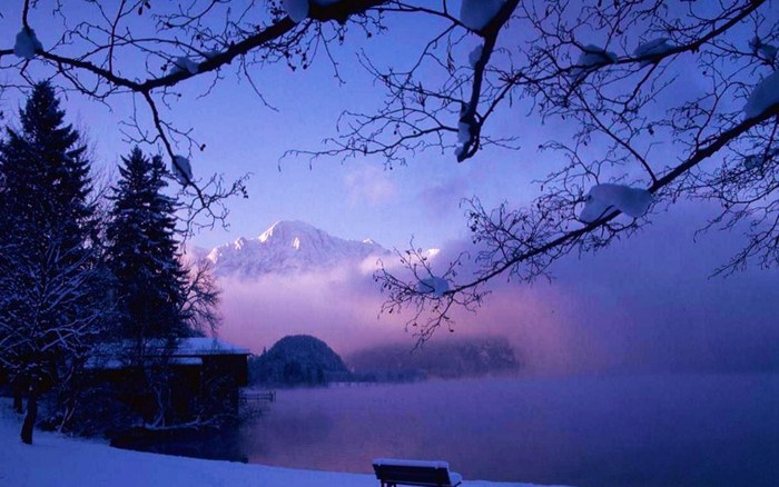 peisaje_de_iarna - natura