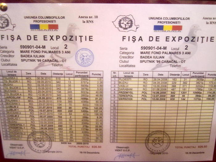 Vicecampionul...; Palm.M Fond 3 ani,avand si alte et.cls.anterior!peste 16000 km,cls
