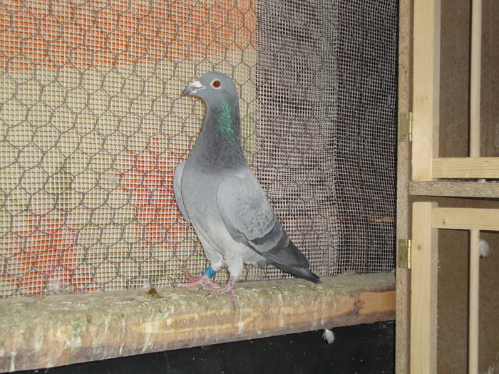 DSC01764