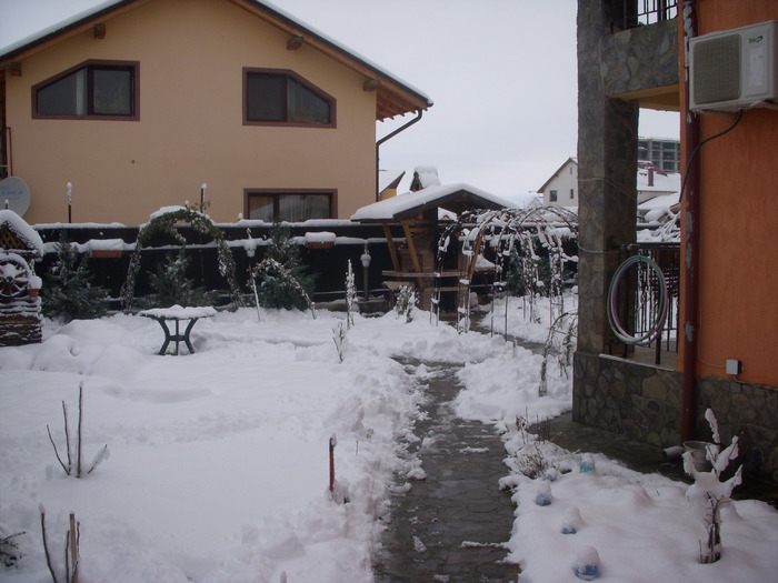 05.12.2010 003 - IaRnA lA bRaSoV 05-12-2010