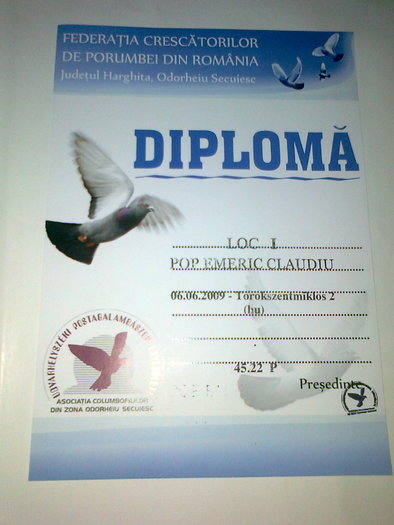 diploma; rezltate
