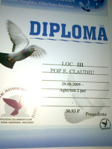 diploma - Rezultate 2010