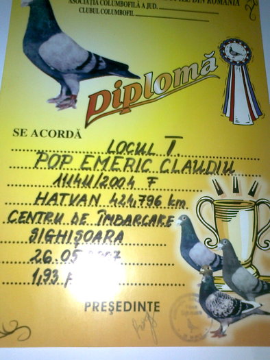 diploma; rezultate
