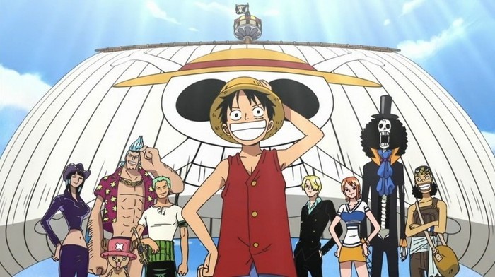 21336245_ZCOWISHDX - One Piece Team