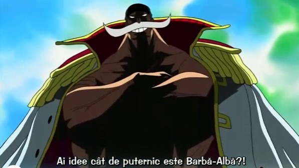 21437359_ITJCBOCPF - One Piece Team