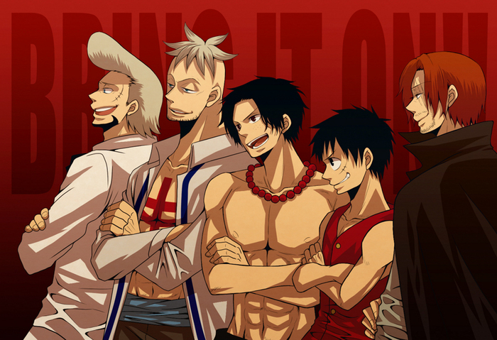 sample_5f00795747578283df4dc26f5cfc87f62a4e31f5 - One Piece Team