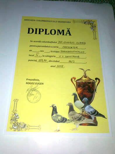 diploma - Rezultate 2010