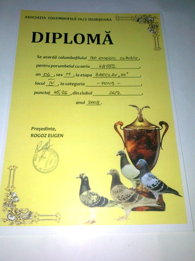 diploma - Rezultate 2010