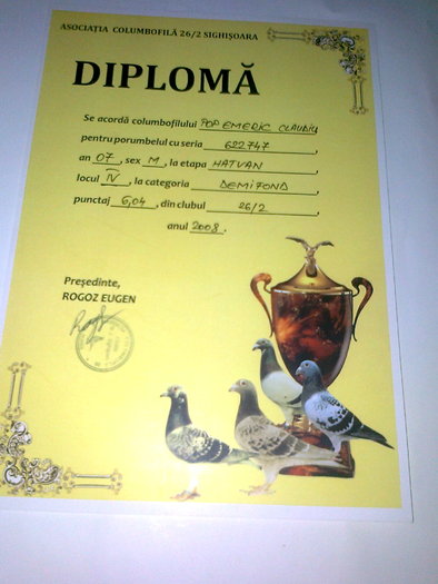diploma