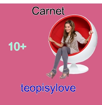 carnet teopisylove