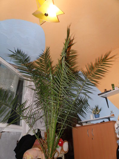 P6163380