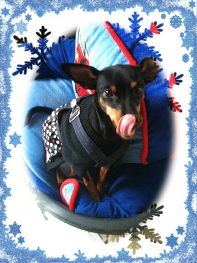 155766_172624619437060_108486955850827_413852_4585372_n