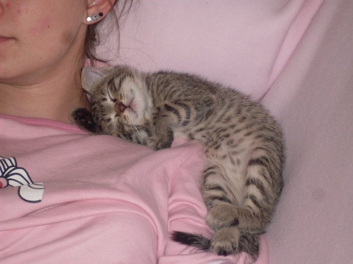 148194_1589985203253_1644548848_1395972_1629478_n