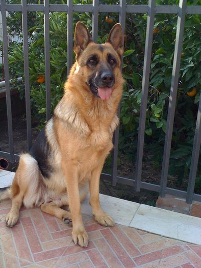 149161_162755003765887_100000941660646_301469_592158_n