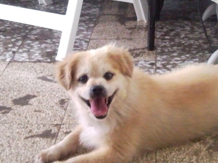 162659_173790005984213_100000596456286_470133_436247_n