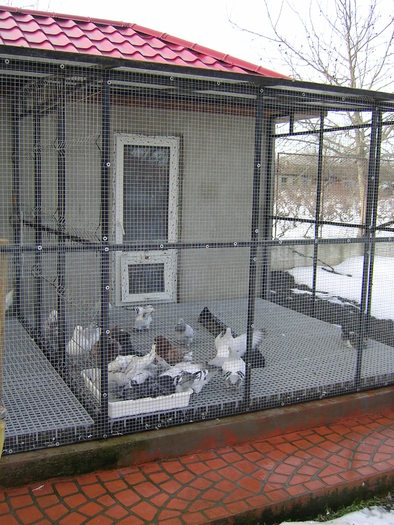 SANY0093 - Crescatoria Porumbeilor