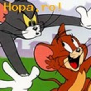 desene-9_1232359279 - Tom si Jerry