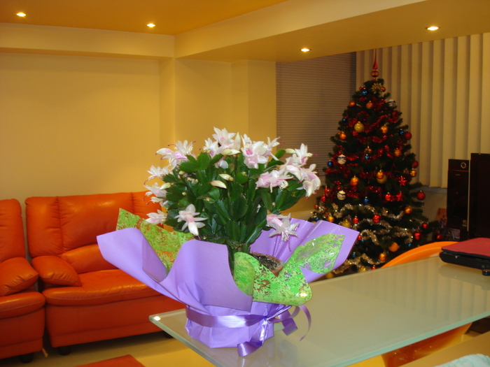 LA MULTI ANI,MAMA!!!