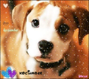 6 - 000-Cel mai mare album