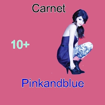 carnet Pinkandblue