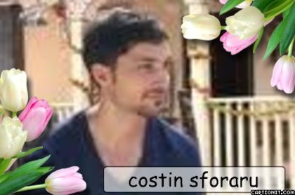 captionit0101805855D31 - costin sforaru