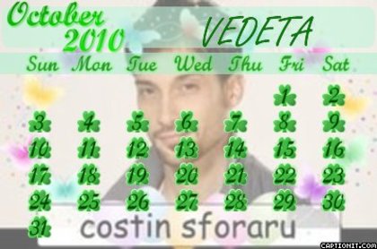 COSTIN SFORARU - 00-vedete pe calendare Alegeti vedeta