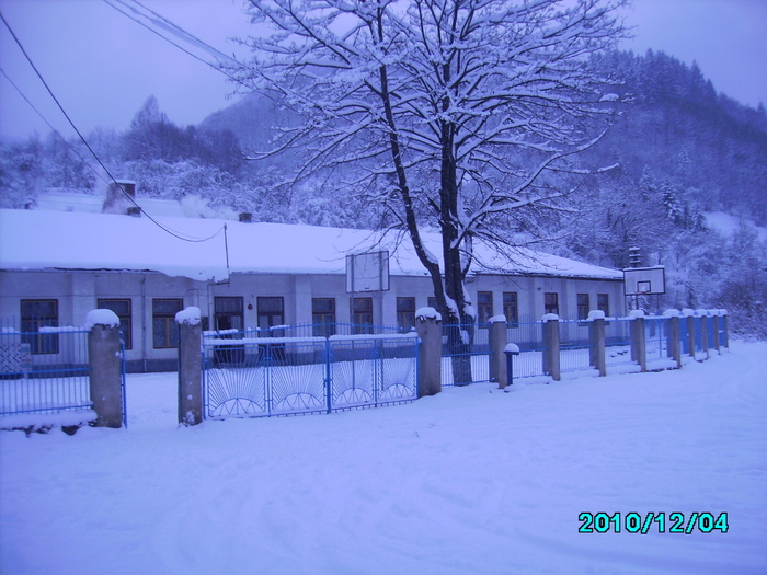 IMG_0134 - 2010 Iarna
