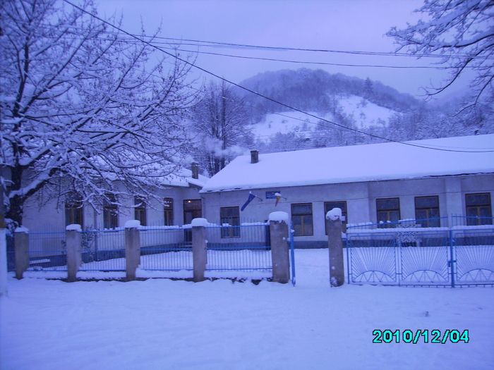 IMG_0135 - 2010 Iarna