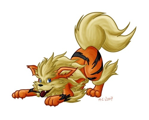 arcanine[Blaziken] - Club Echipe Pokemon