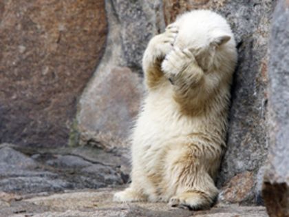 bauuu...!!! - Poze cu animalute adorabile