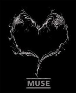 images[1] - Muse