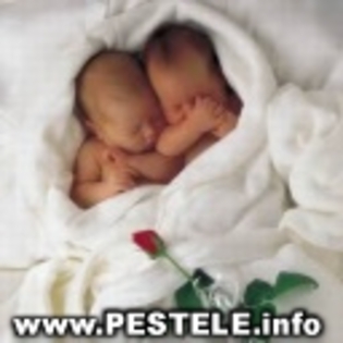 avatare%20poze%20bebelusi%20bebelusului%20copilasi%20mici%20despre%20copii%20copilasi